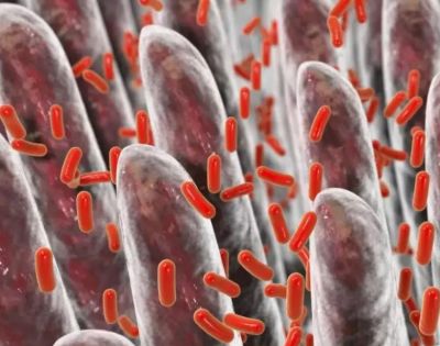 Inhibit bacterial growth